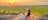 Ubirr Lookout with Sacred Owl Tours