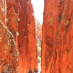 Two walls of deep rock red, dwarfing the people walking between them