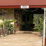 Pandanus on Litchfield