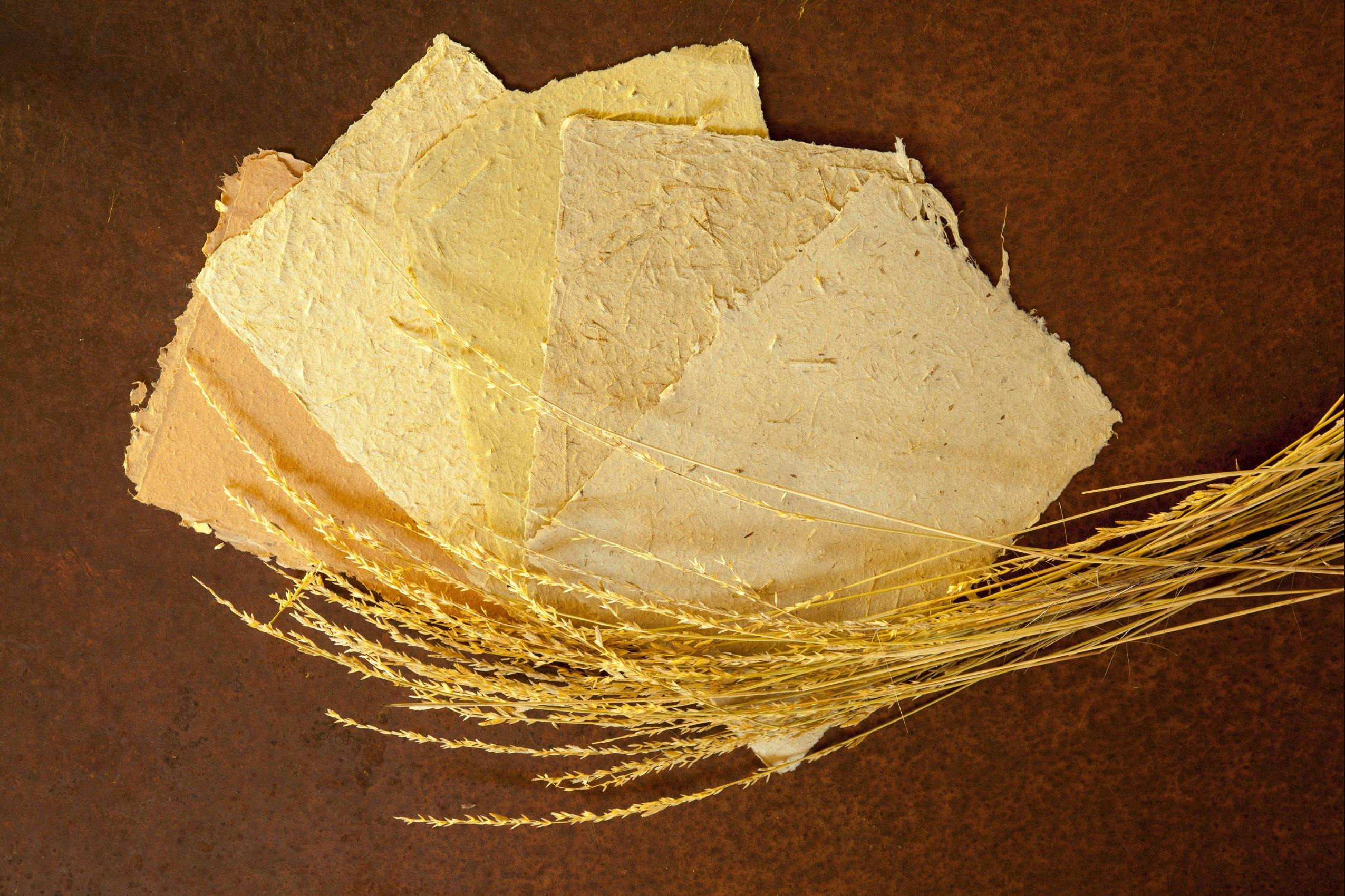 Curtin Springs Paper