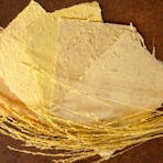 Curtin Springs Paper