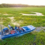 airboat, NT, fast, crocodiles, wildlife, adventure, thrill, buffalo, flora, dry season