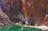 Redbank Gorge