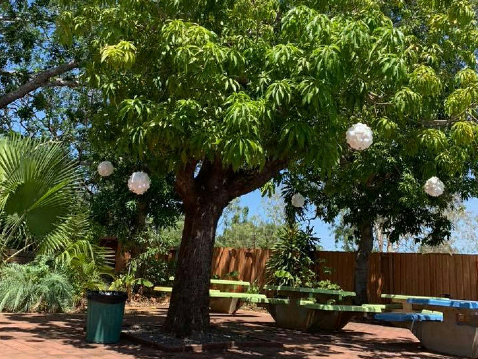 Garden Area at the Borroloola Hotel Motel