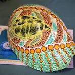 indigenous art