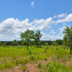 Chinese Temple site in the distance (note red sign and interpretative panel that is located on the site.