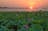 Corroboree Billabong Wetland Cruises - 2 hour sunrise cruise - Self drive option