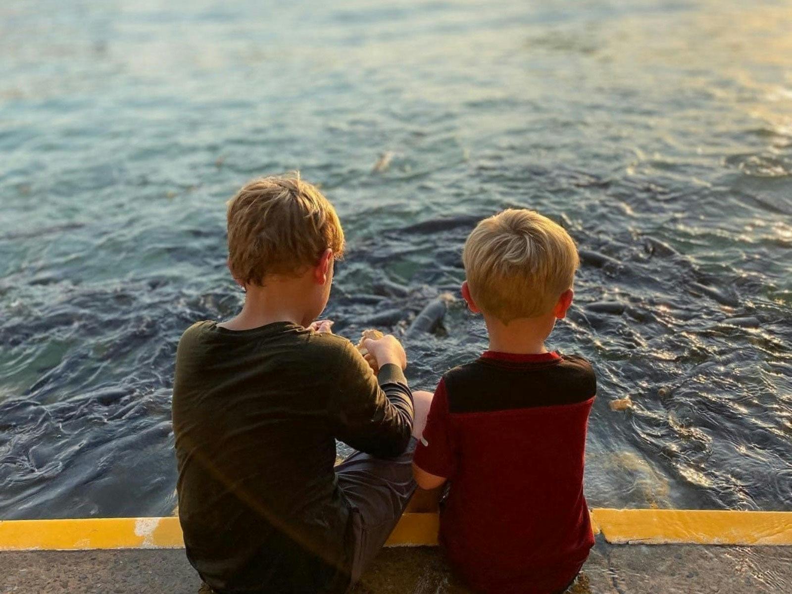 Aquascene Fish Feeding Sanctuary and Cafe