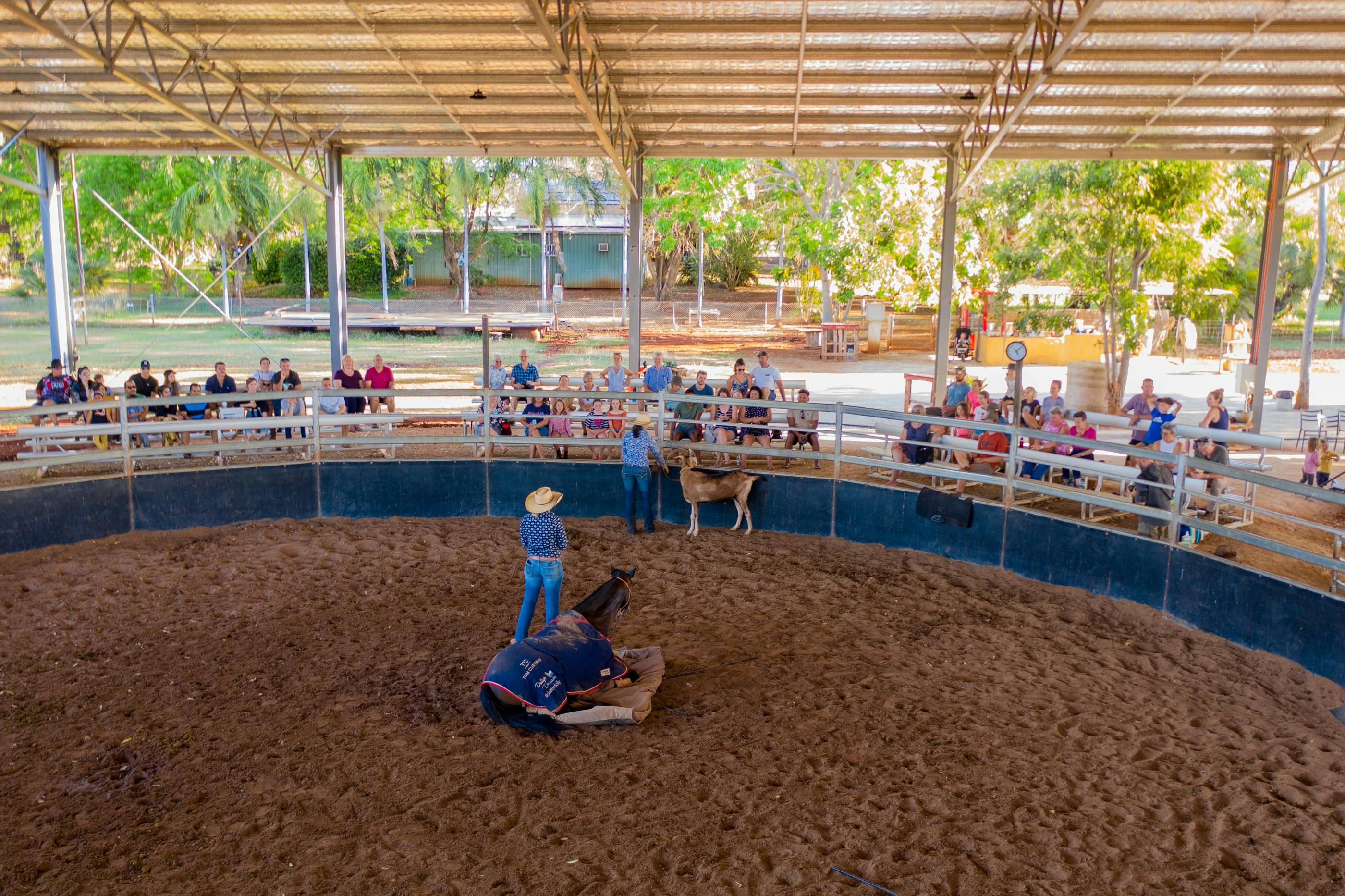 Guests are kept cool and comfortable during shows