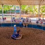 Guests are kept cool and comfortable during shows