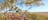 Magnificent panorama from the red earth mesa, Mount Possum, looking west towards Kalkarindji.