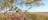 Magnificent panorama from the red earth mesa, Mount Possum, looking west towards Kalkarindji.