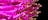 IMG_3886-e1745809828841