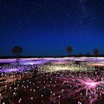 As darkness falls 50,000 glass spheres come to life