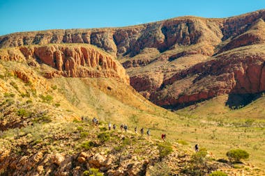 Larapinta Signature Walk