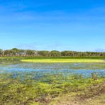 Wetlands Wagait Beach