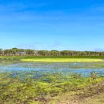 Wetlands Wagait Beach