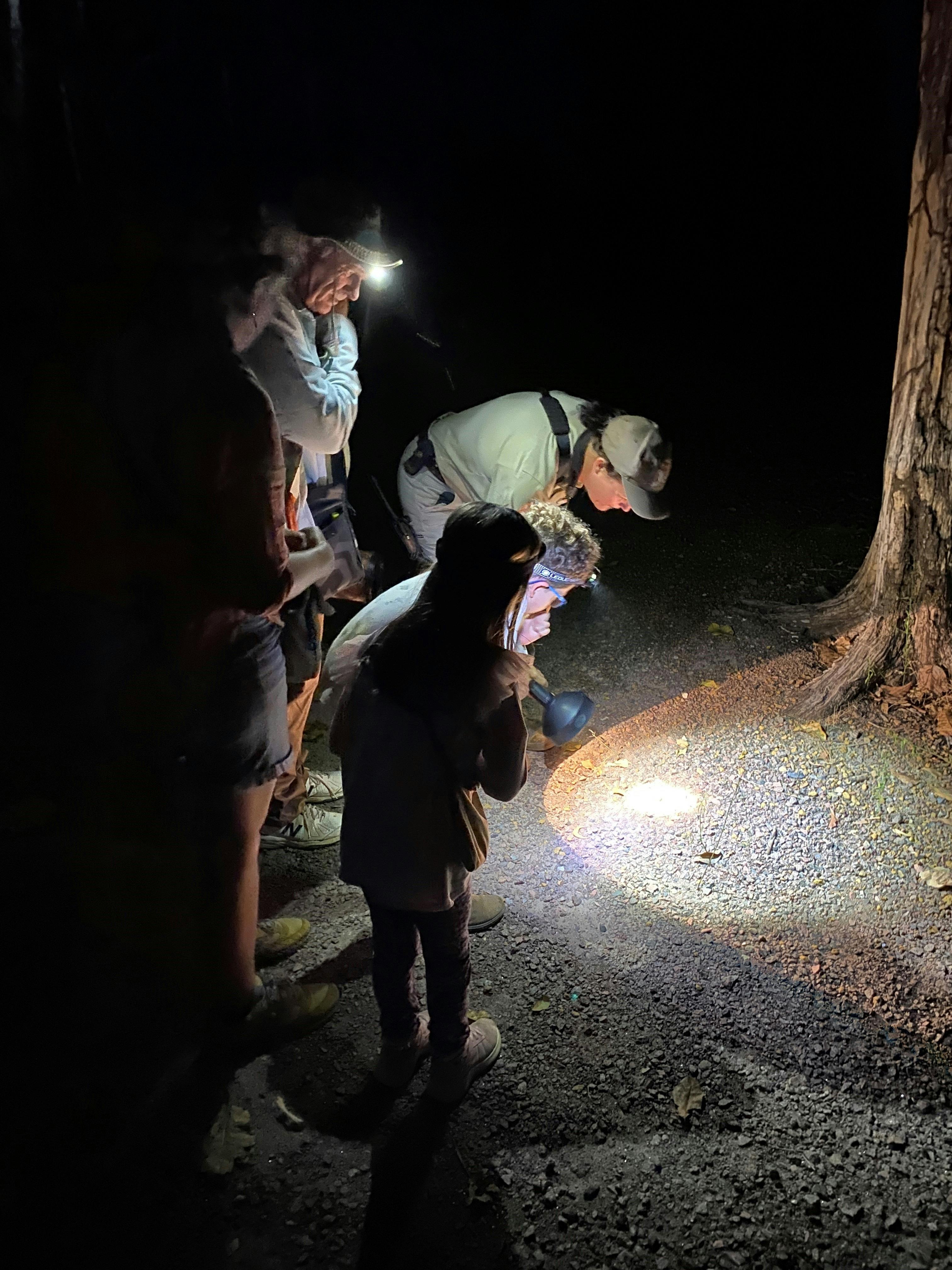 Howard Springs Nature Park Guided Nocturnal Walk