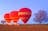 Early Morning 30 Minute Balloon Flight