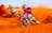 Tatts Finke Desert Race