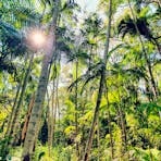 Discovering hidden gems