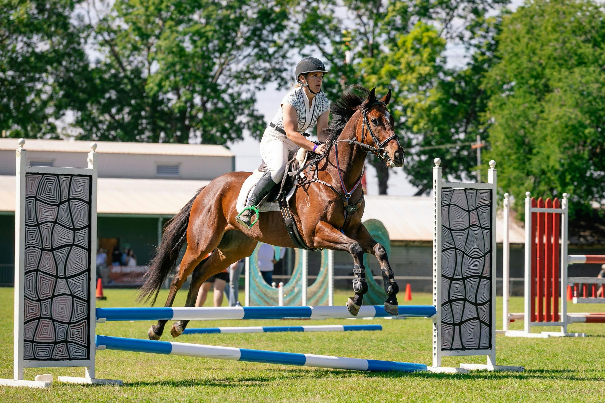Equestrian