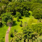 George Brown Darwin Botanic Gardens