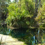 Elsey National Park