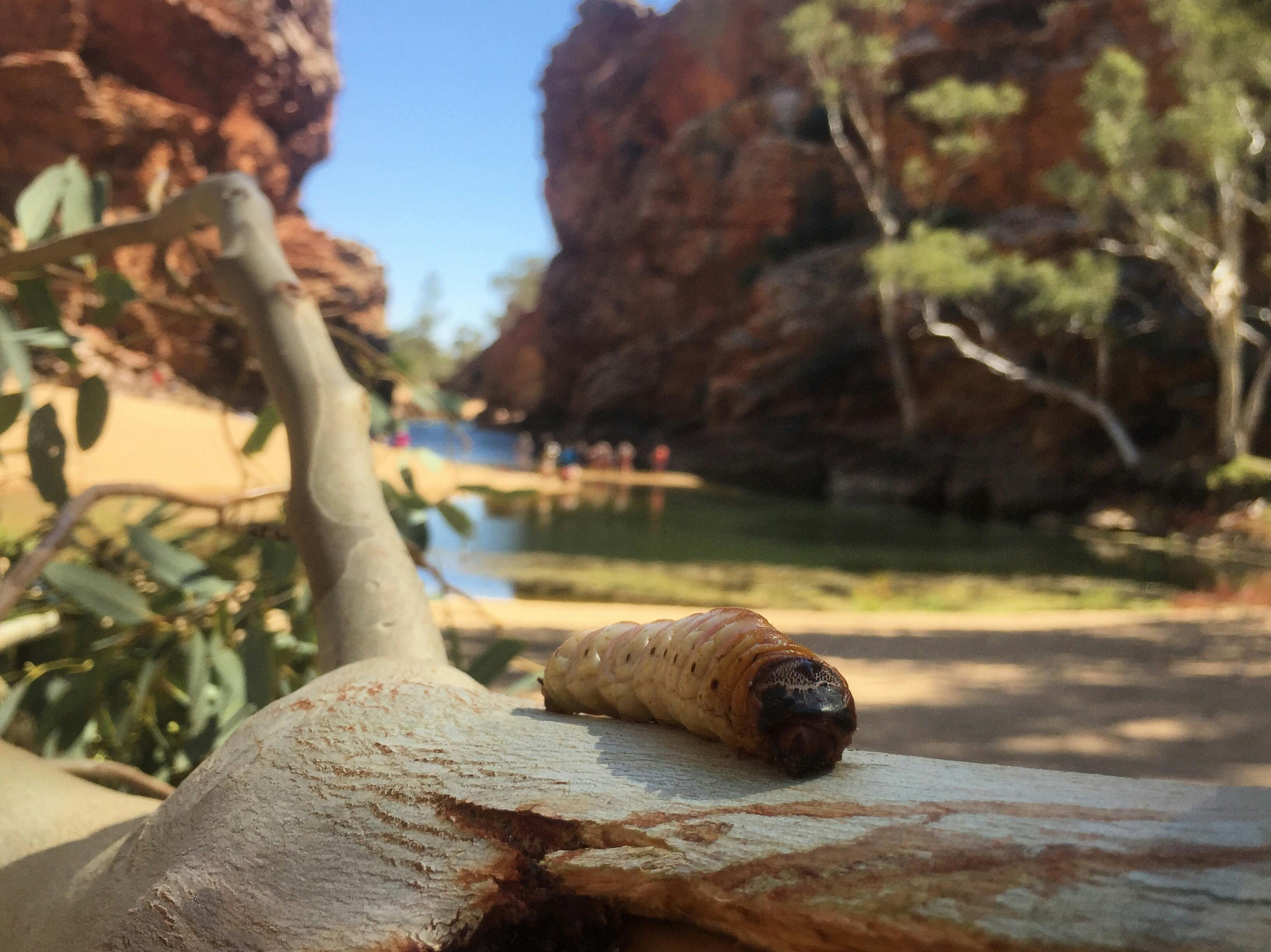 5 Day Art & Culture Trip