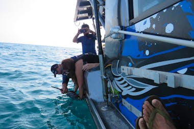 Private Billfish Charter