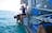 Private Billfish Charter