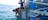 Sailfish