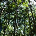 Holmes Jungle Nature Park