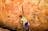 5 Day Kakadu, Arnhem Land and Cobourg Peninsula