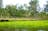 Mardukal Billabong Walk