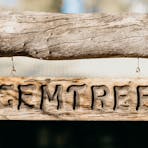 Gemtree wooden carved sign