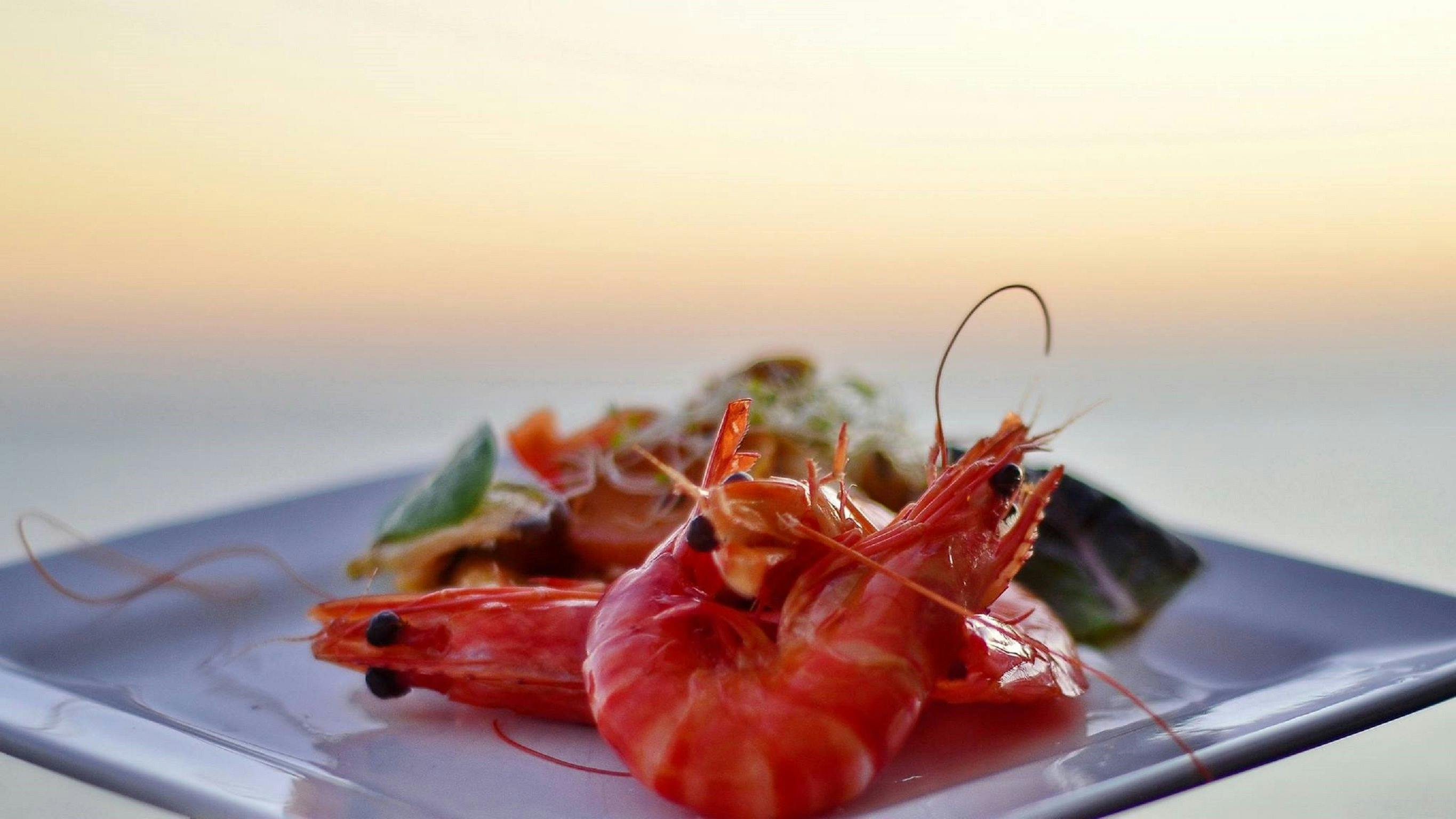 Spirit of Darwin Sunset Dinner Cruise