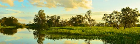 Kakadu