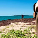 Two people at the beach with car and tyre in foreground