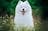 Top Dog Film Festival World Tour Darwin