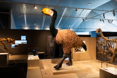 Megafauna Central