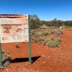 Interpretive signage at Ewaninga Conservation Reserve