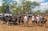 Top End Pub Crawl