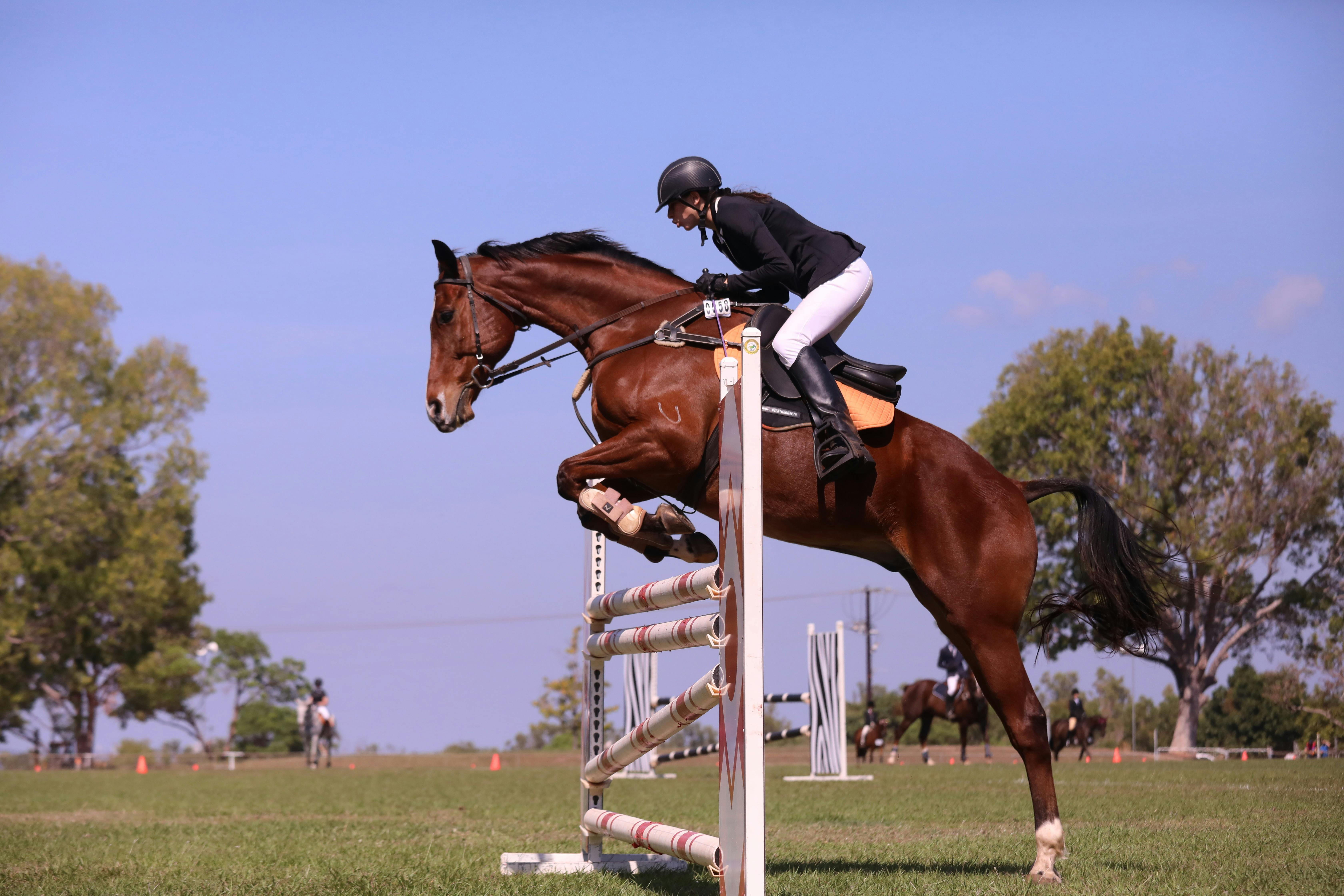 Person riding a horse jumping over an obstacle.