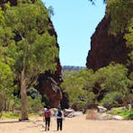 Larapinta Trail With Australian Walking Holidays / World Expeditons