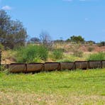 Cattle troughs at Bonney Well