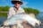 Run Off Barra Fishing - Multi Day Tour