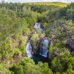 Visitors viewing Florence Falls from the lookout.