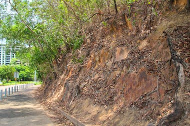 Stokes Hill