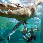 Crocosaurus Cove Cage of Death
